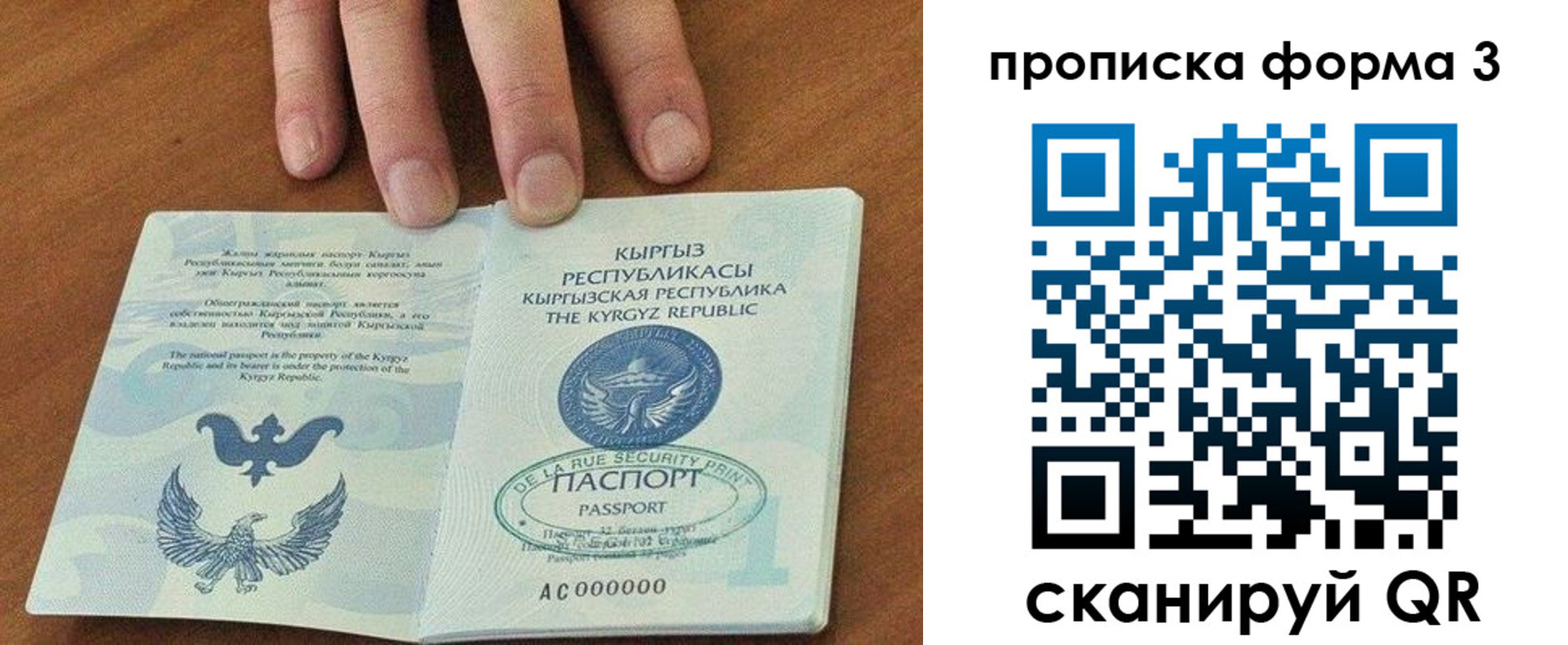 прописка 2025 в Люберцах